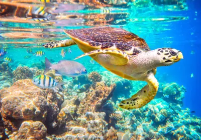 Baa Atoll
