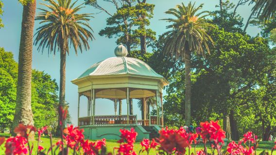 New Zealand + Auckland Sky Tower skywalk& Bungee Jump Experience + Auckland Botanic Gardens