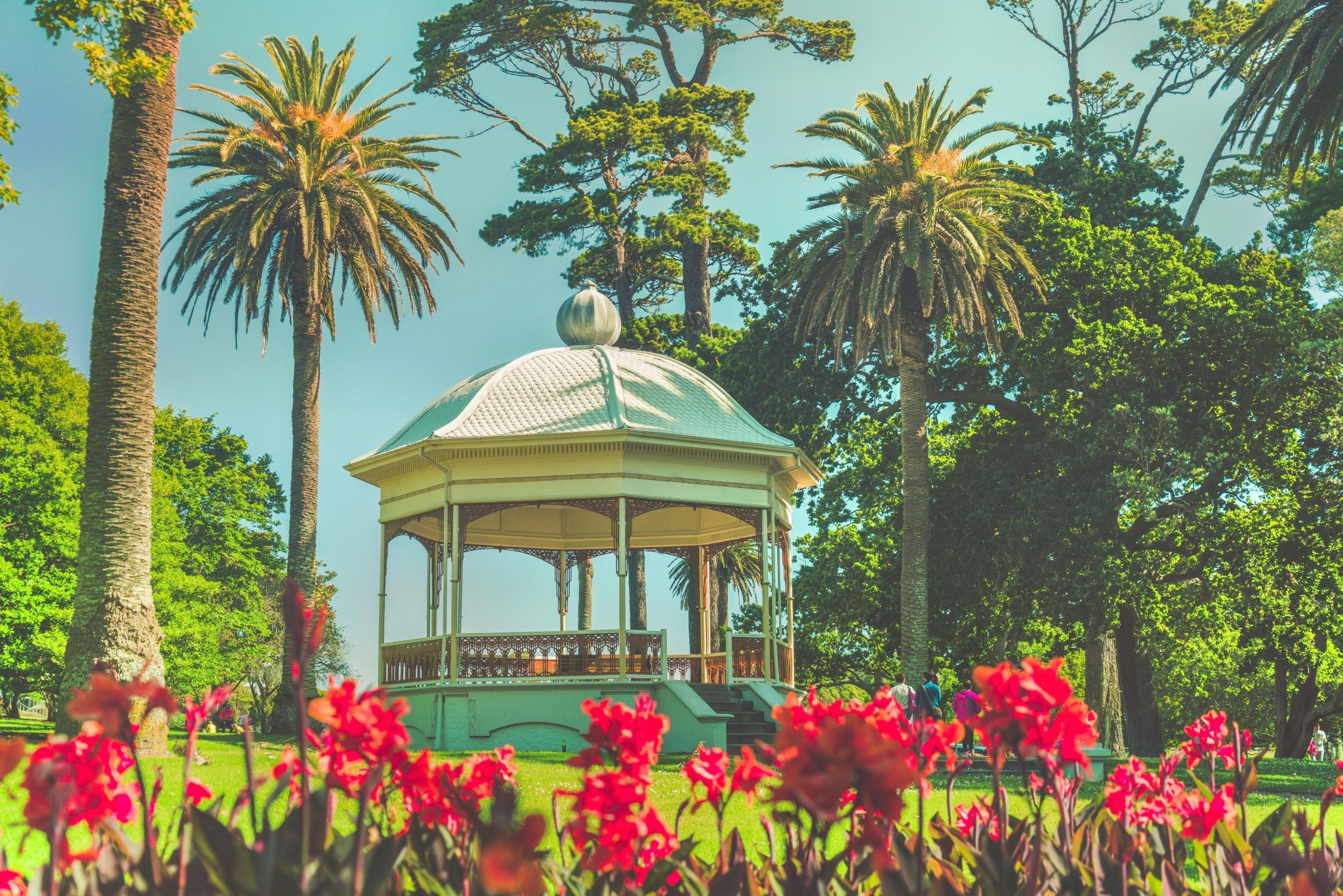 ニュージーランド+オークランド・スカイタワー空中散歩＆バンジージャンプ体験+オークランド・ボタニック・ガーデンズ