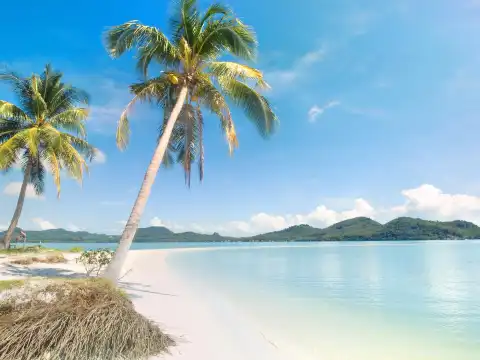 Hotels near Klong son beach Thai food