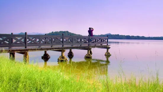 Songshan Lake