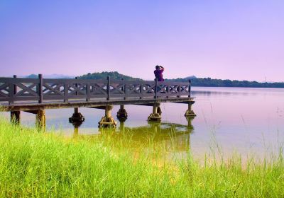 Songshan Lake