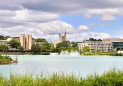 Université Northwestern