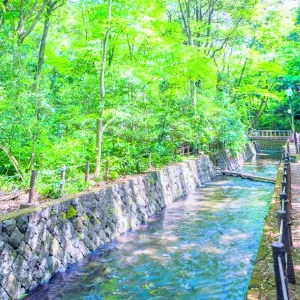 世田谷区立等々力渓谷公園