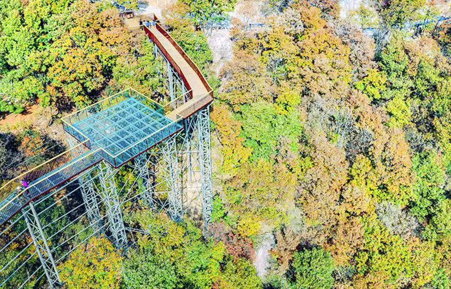 大熊山摘星樓風景區