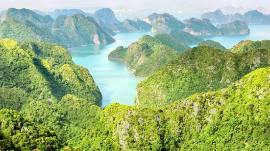 Cat Ba National Park