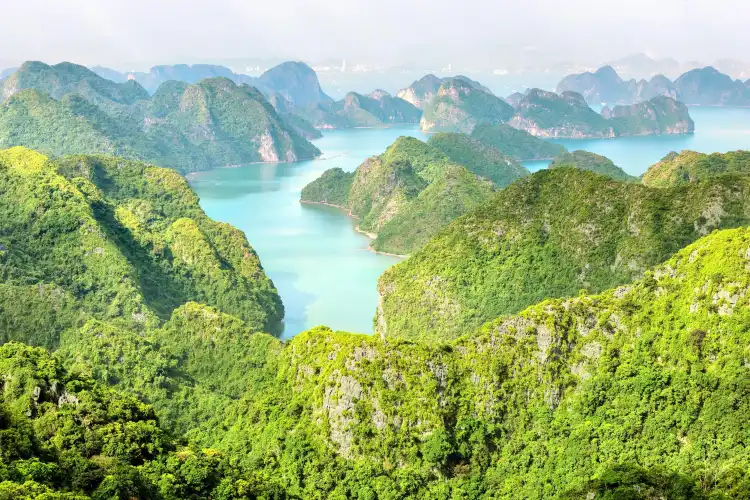 Hotels near Cat Ba National Park