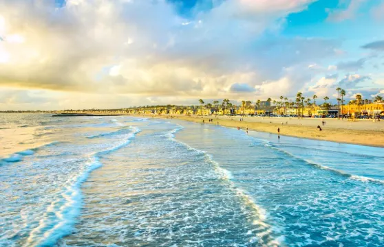 紐波特海灘觀鯨體驗成人