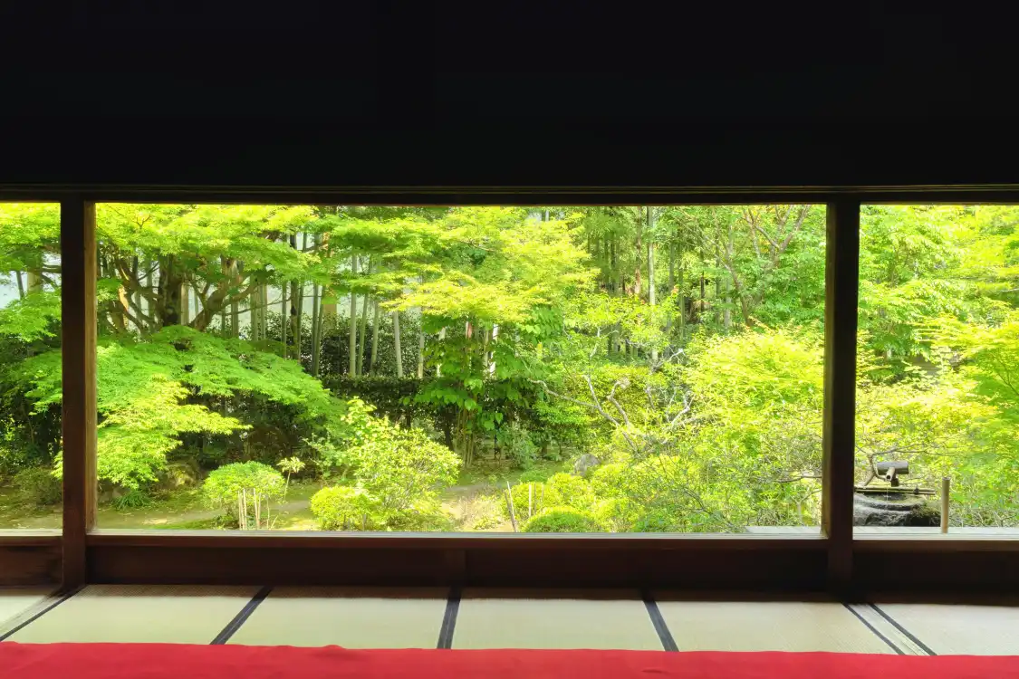 Hotels near Hosen-in