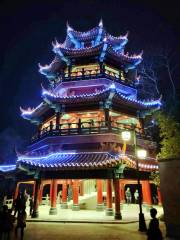 Shenguang Foyuan