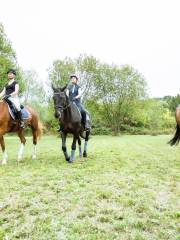 Glenworth Valley Horse Riding