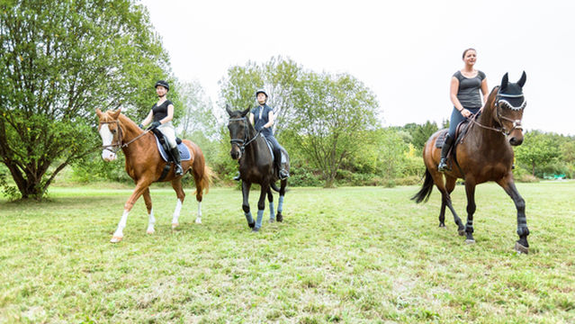 Glenworth Valley Horse Riding