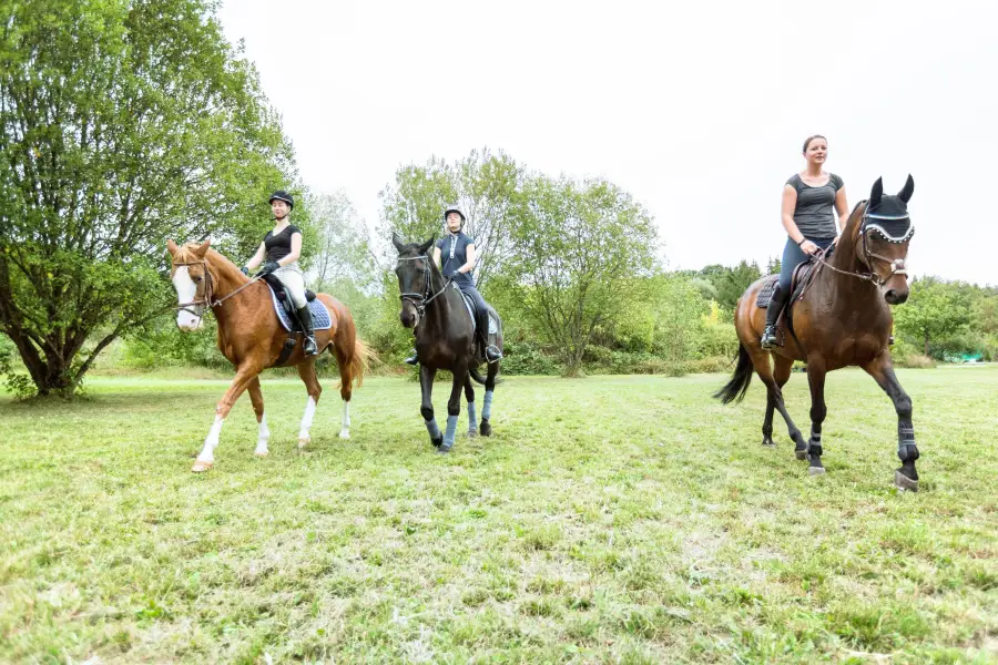 Glenworth Valley Horse Riding