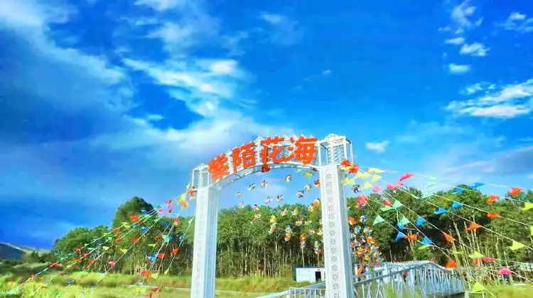Hotels in Datong