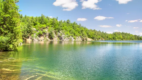 Gatineau Park