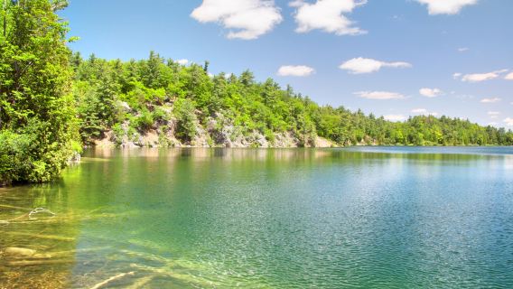 Gatineau Park