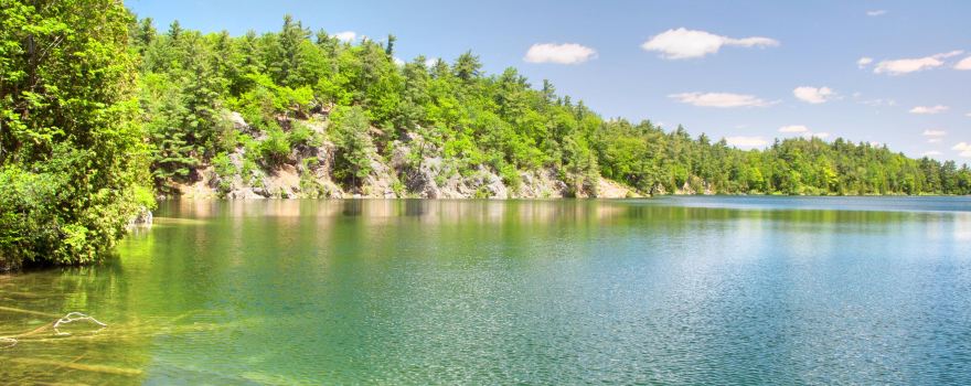 Gatineau Park