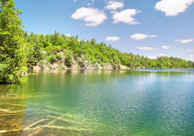 Gatineau Park