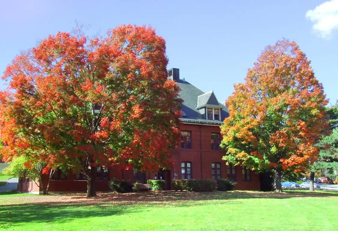 Hotels near Tufts University
