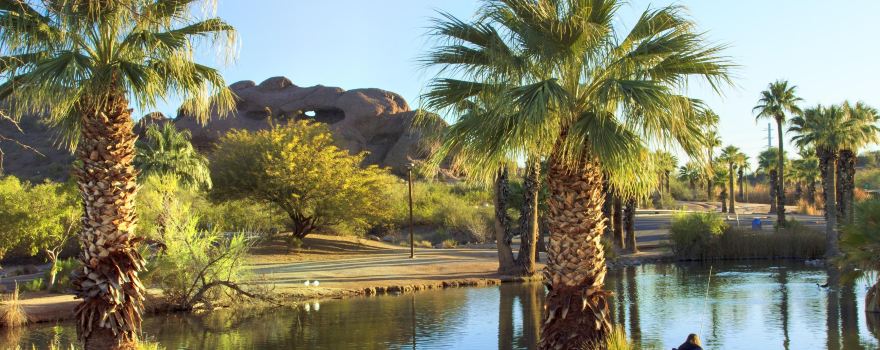 Phoenix Zoo