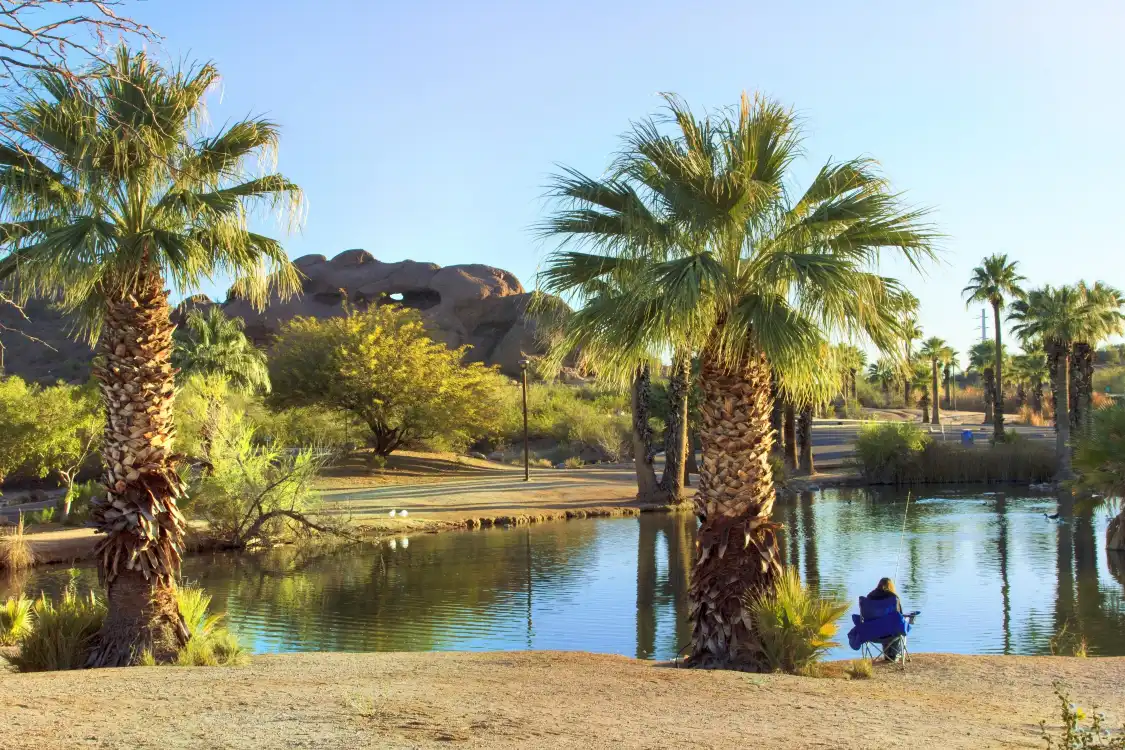 Hotel in zona Phoenix Zoo