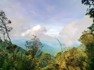 Forêt de Mousse, Cameron Highlands