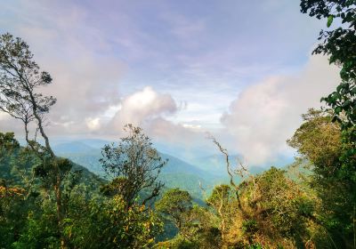 Ulu Telom