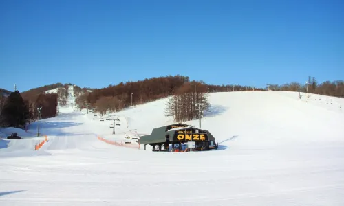 스노우 크루즈 온제