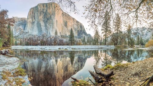United States Yosemite National Park + Giant Sequoia hiking 1-day tour [departing from San Francisco | foreign language guide] Day Tours