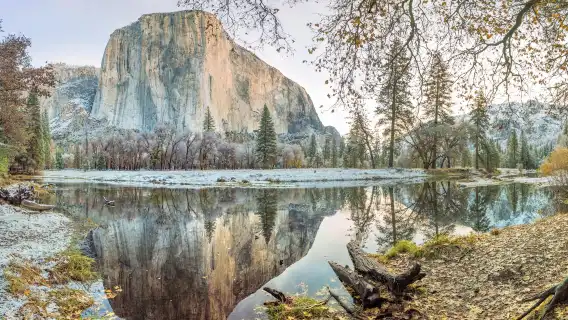 美國優勝美地國家公園+巨杉徒步一日遊【舊金山出發｜外語導覽】