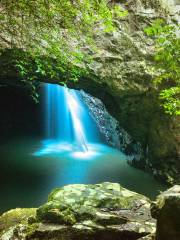 Natural Bridge, Springbrook National Park