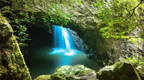 Natural Bridge, Springbrook National Park