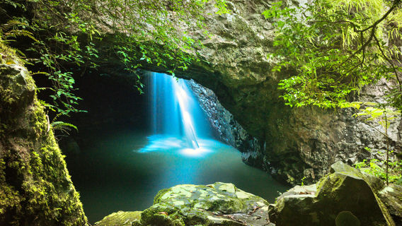 Natural Bridge, Springbrook National Park
