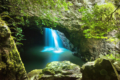 Natural Bridge, Springbrook National Park