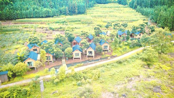 Юпиншань Лесный курорт