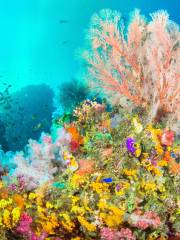 Hakone-en Aquarium