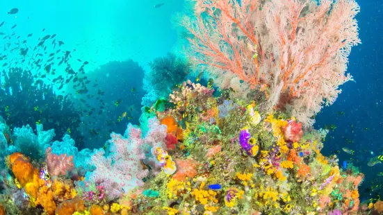 Hakone-en Aquarium