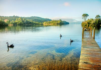 Lake Tarawera