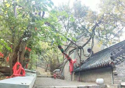 Qingshan Tample