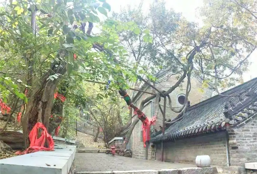 Hotels near Qingshansi