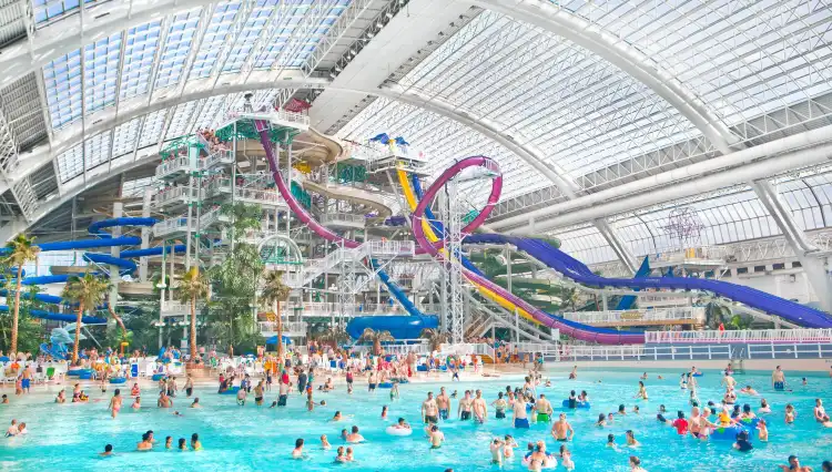 Hotels near World Waterpark