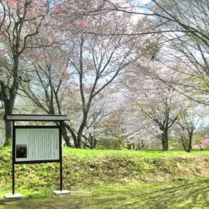 岩切城遺址