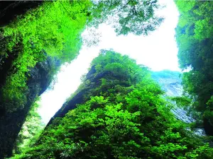 Jinsi Canyon Scenic Area