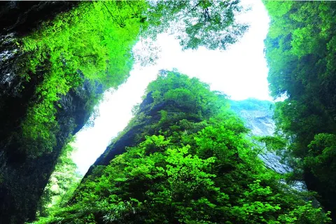 Jinsi Valley
