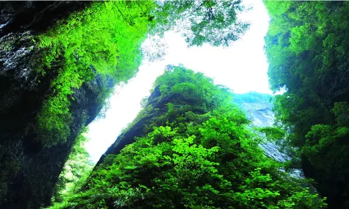 Jinsi Valley