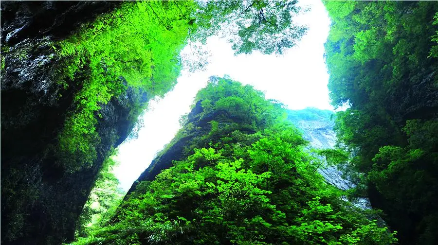 Jinsi Canyon Scenic Area