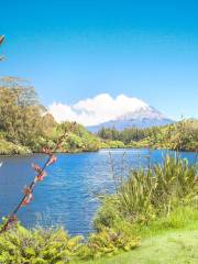 Egmont National Park