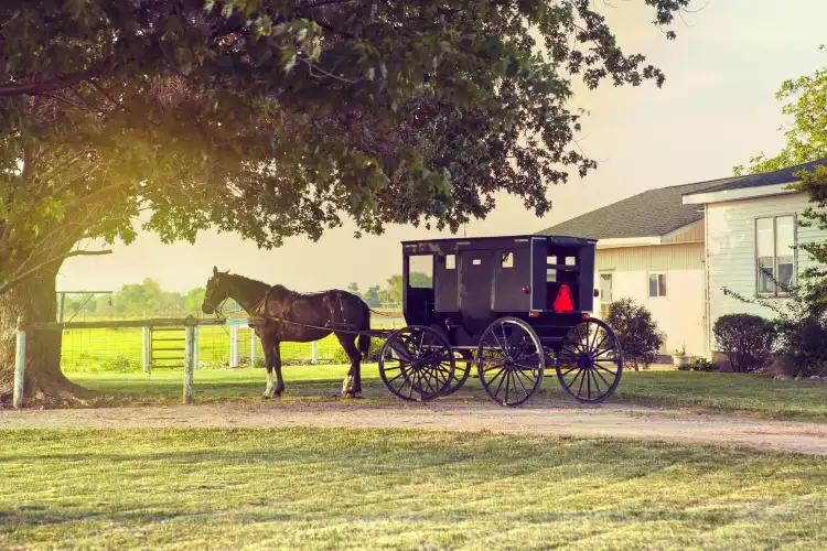 Hotels in East Lampeter Township