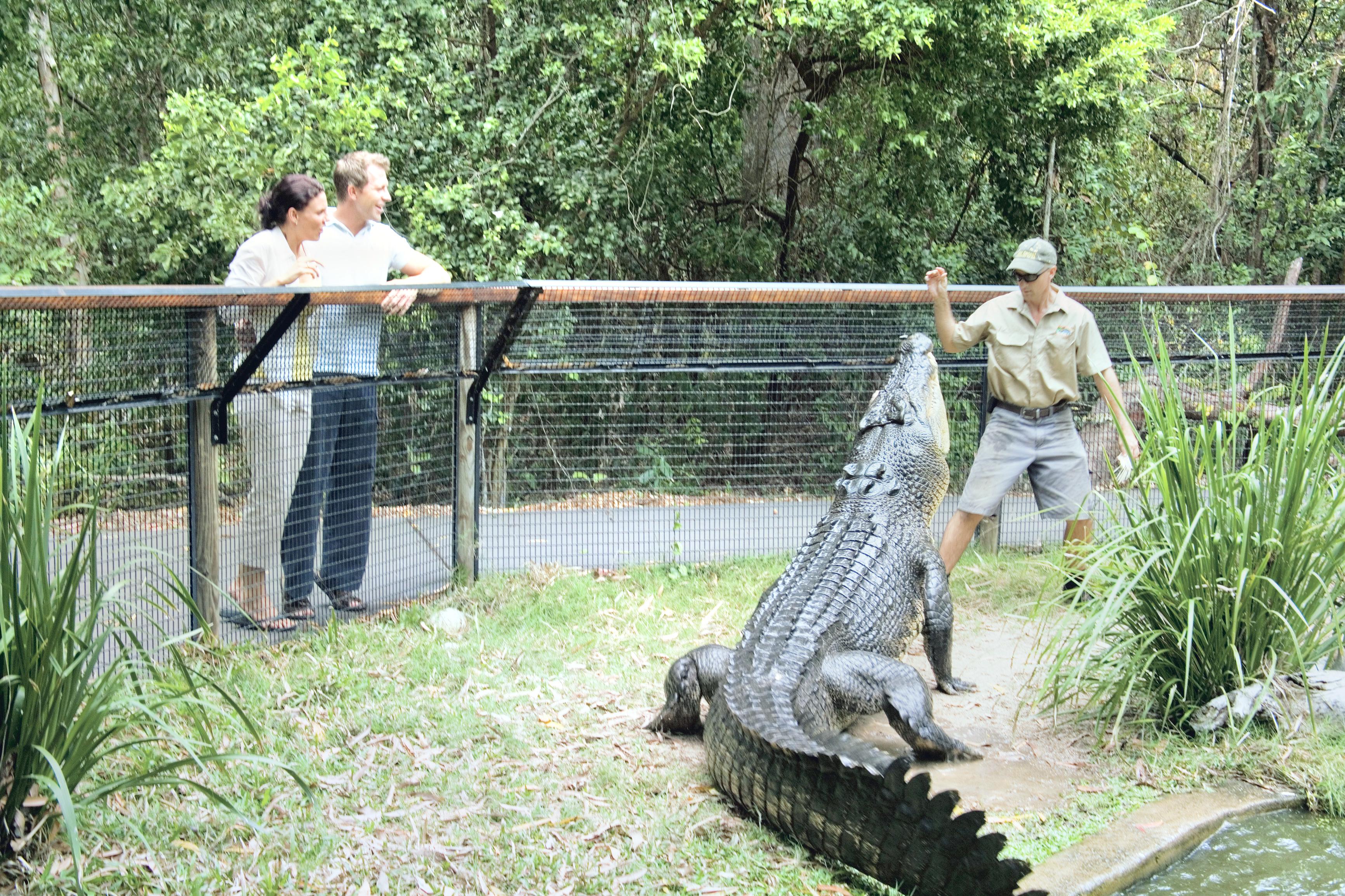 【2024年】ハートレイズ・クロコダイル・アドベンチャーズの最新情報、写真・レビュー、アクセス・営業時間、周辺の人気観光スポット・グルメ