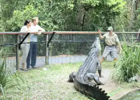 Hartley's Crocodile Adventures